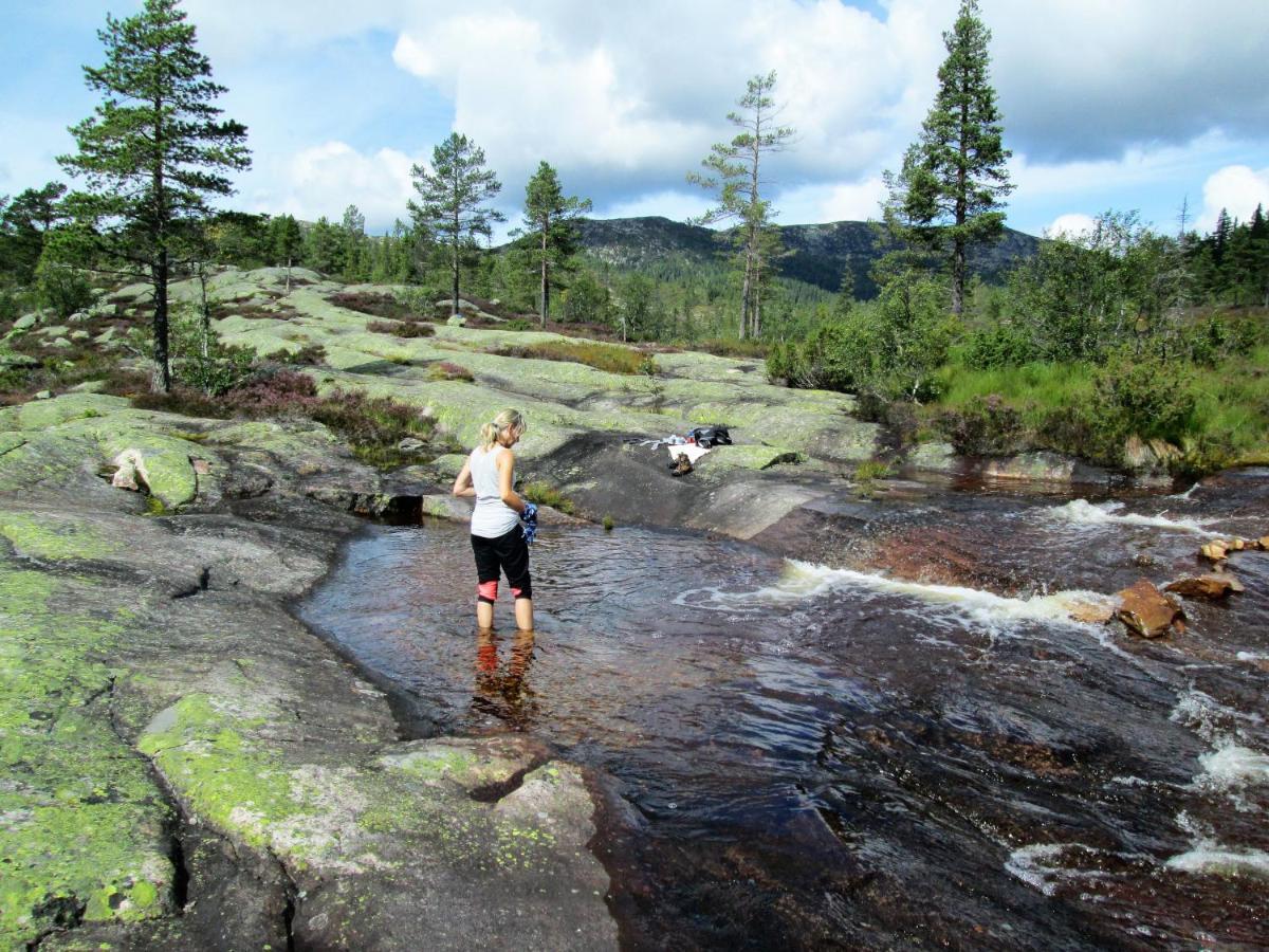 Вилла Fyresdalsvegen 640 Экстерьер фото